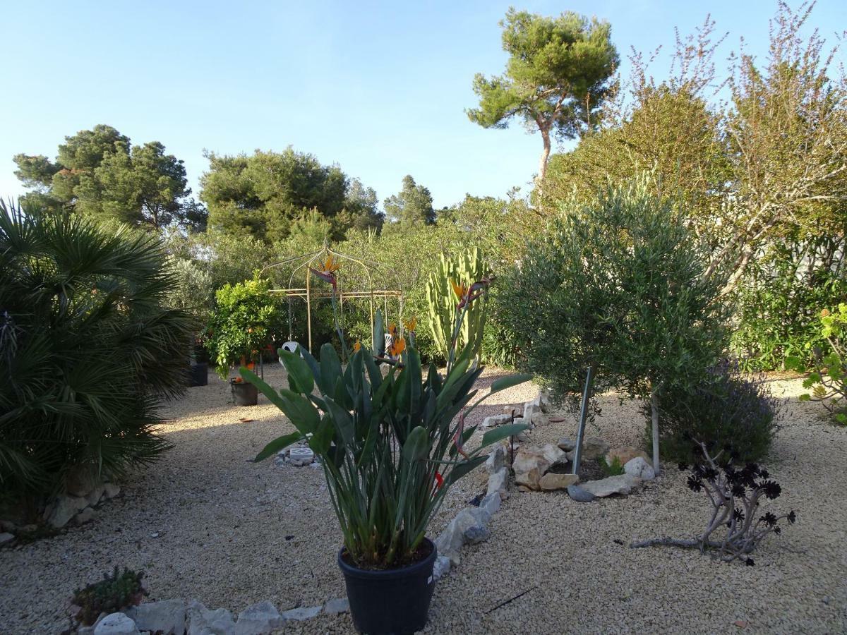 Casa Andaluz Holiday Villa Jávea Eksteriør bilde